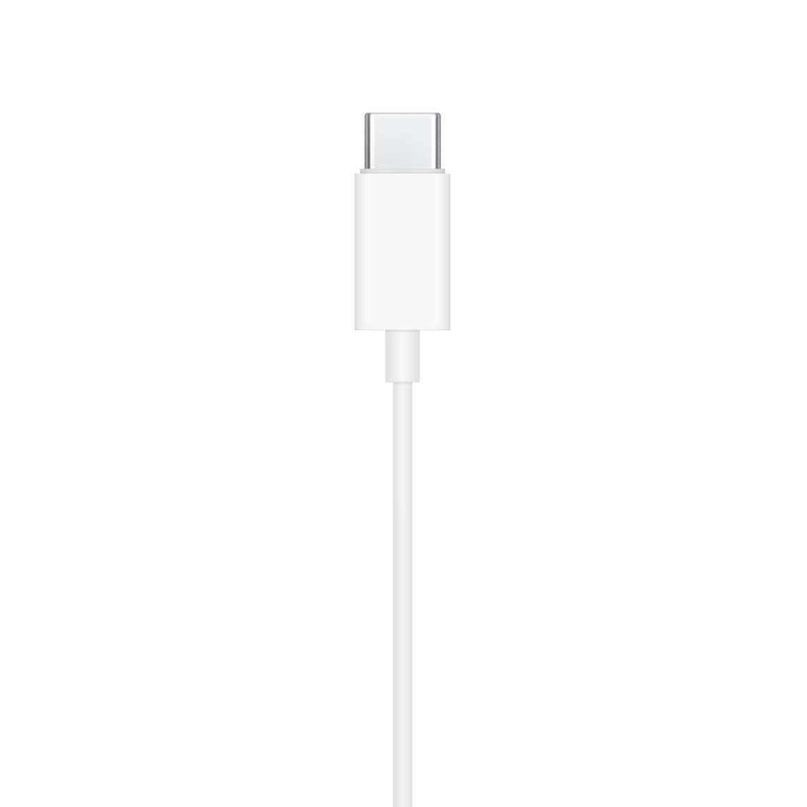 i763 Apple Original USB-C EarPods (used)