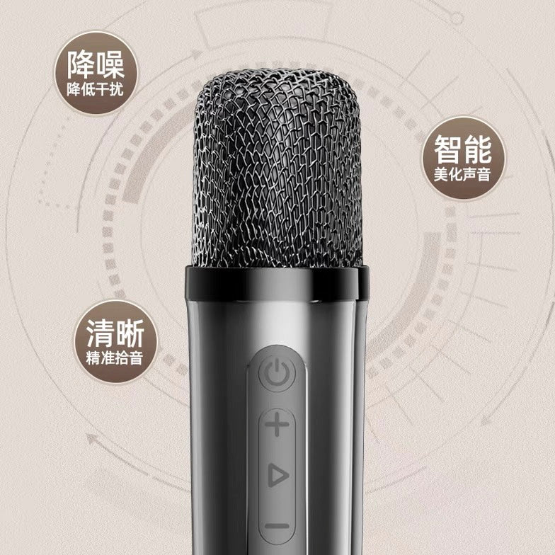 i1231 PZ003 Wireless portable LED Karaoke speaker