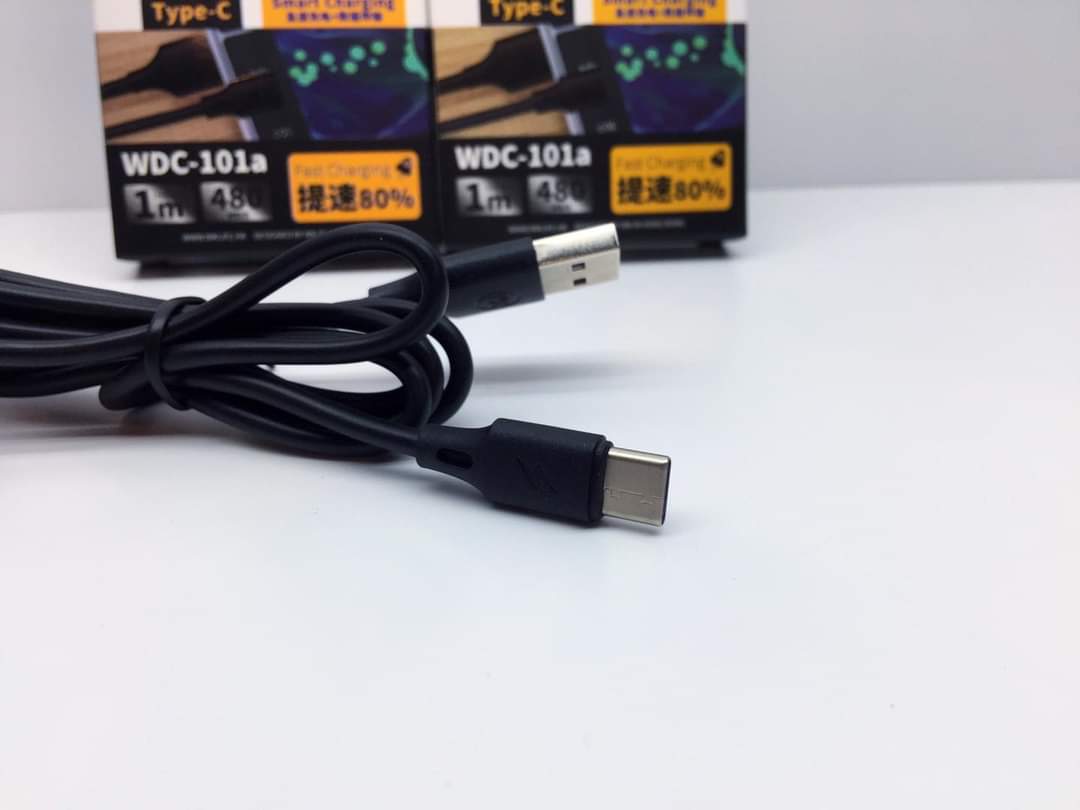 WDC-101a Smart Charging Type-C 5A