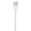 i386 Apple Original Lightning to USB Cable (used) Original In box