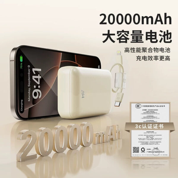 1DB0A5AC-2375-4FD9-99D2-5D0347958BA2.jpg DY17S Compact PowerBank Type-C Lightning output