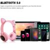 i1149 ISmart Cat Ear Headphones