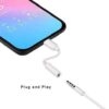 41IawCOtUkL._AC.jpg I769 Apple Original Lightning to 3.5mm Earphone audio adapter (used)
