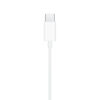 i763 Apple Original USB-C EarPods (used)
