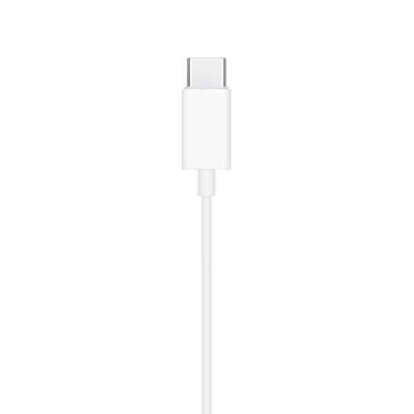 i763 Apple Original USB-C EarPods (used)