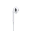 i763 Apple Original USB-C EarPods (used)