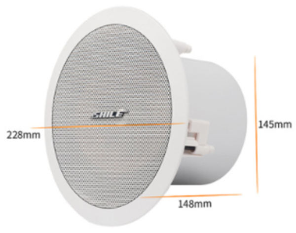 Ceiling speaker