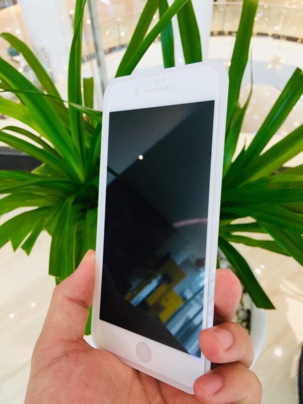 image_5f4ff170-1d5b-47a6-9296-0e10398452ae.jpg WTP-019 Elephant 6D Privacy Screen Protector