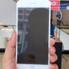 image_7b1a7cf6-aa26-467a-8006-0cda980d6a90.jpg WTP-019 Elephant 6D Privacy Screen Protector